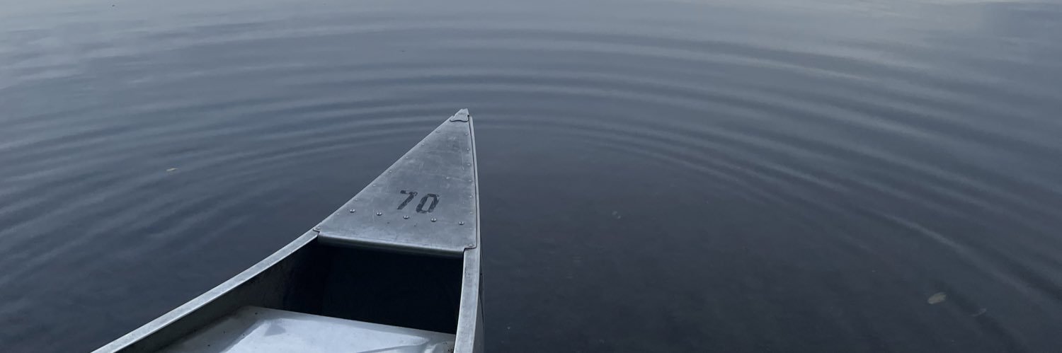 danelincoln's profile banner image