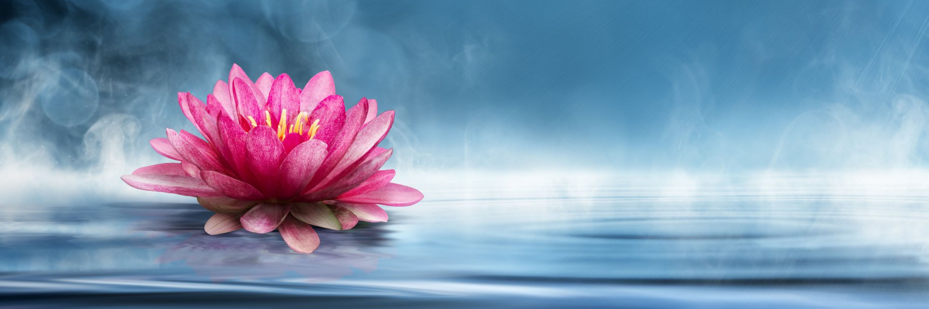 agarwalrohhit's profile banner image