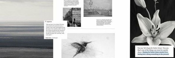 mdesvu_ Profile Banner