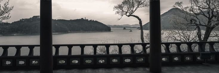 Majippie.JPG banner