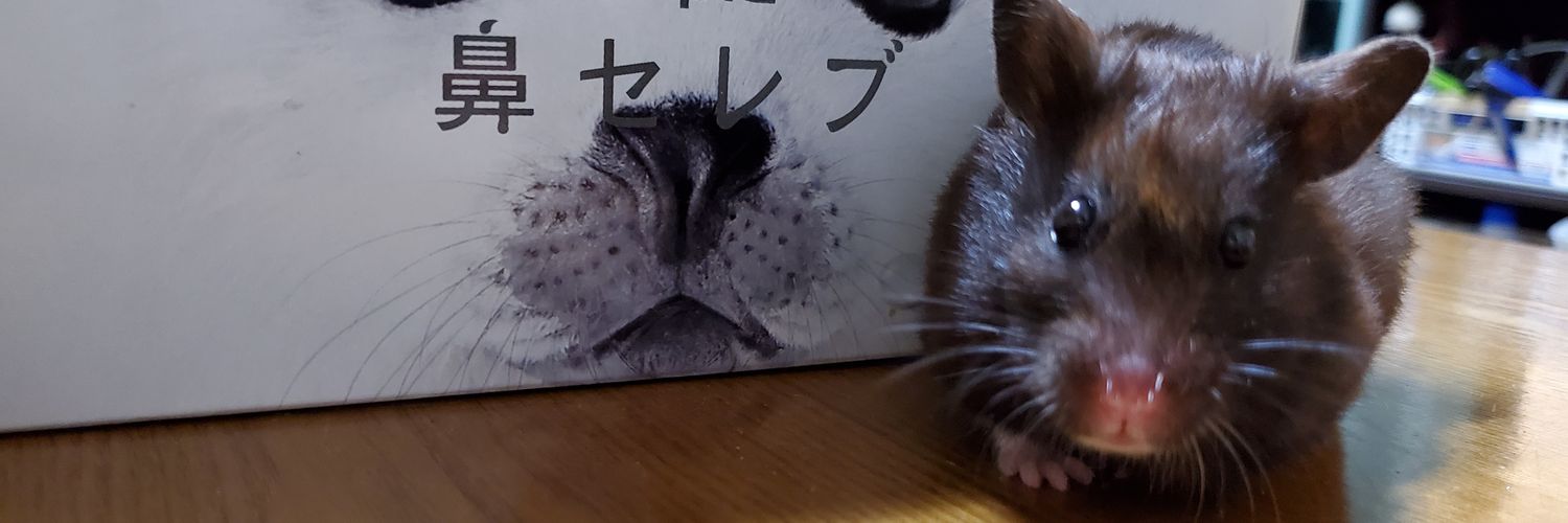 very_sbm's profile banner image