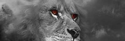 MichelleTurques's profile banner image