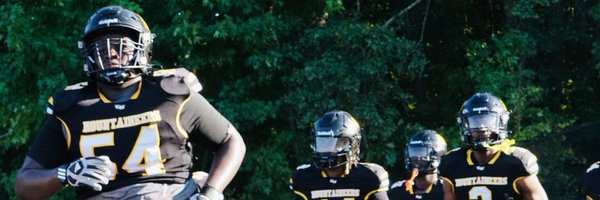 samarion_d Profile Banner