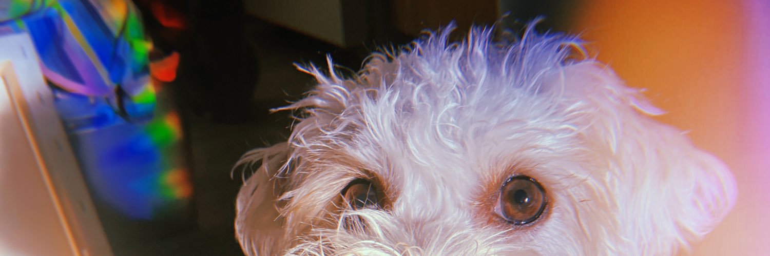 _vasquezlynette's profile banner image