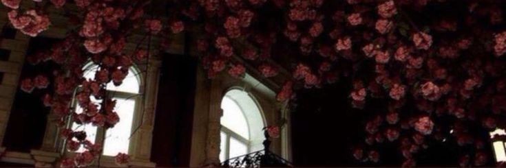 𝕷𝖊𝖓𝖆 banner