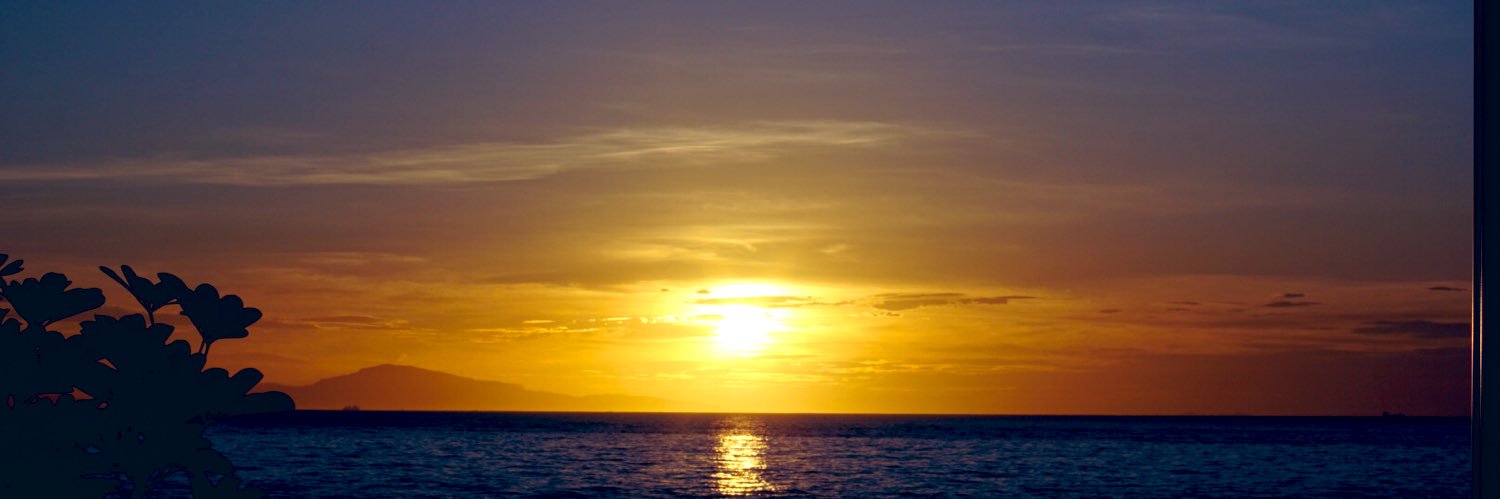 sax_silver's profile banner image