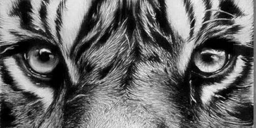 SaraGopa4's profile banner image
