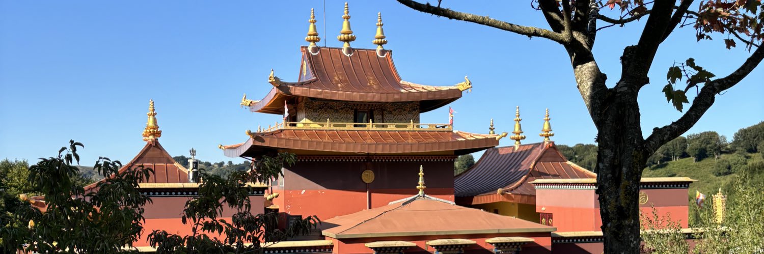 Skibidi ☄️☀️ banner