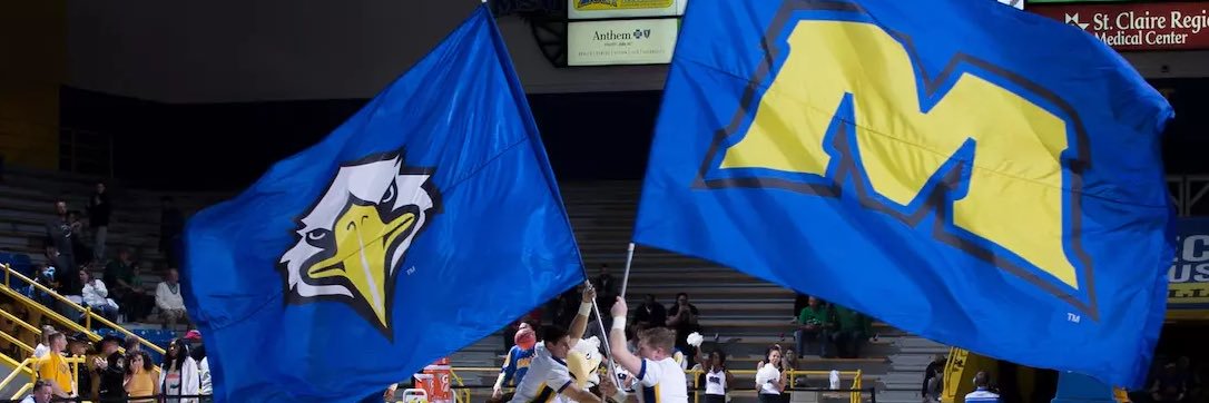 Ben Sisson banner