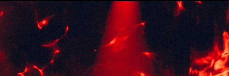 wk_moment's banner