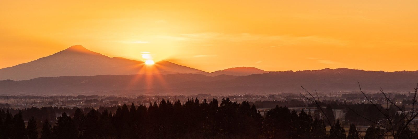 クラシック音楽とアートとスピリチュアル三昧のToshi🎻🎶🌌 banner