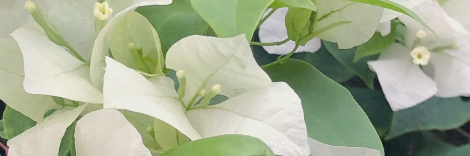 JustTimilehin's profile banner image