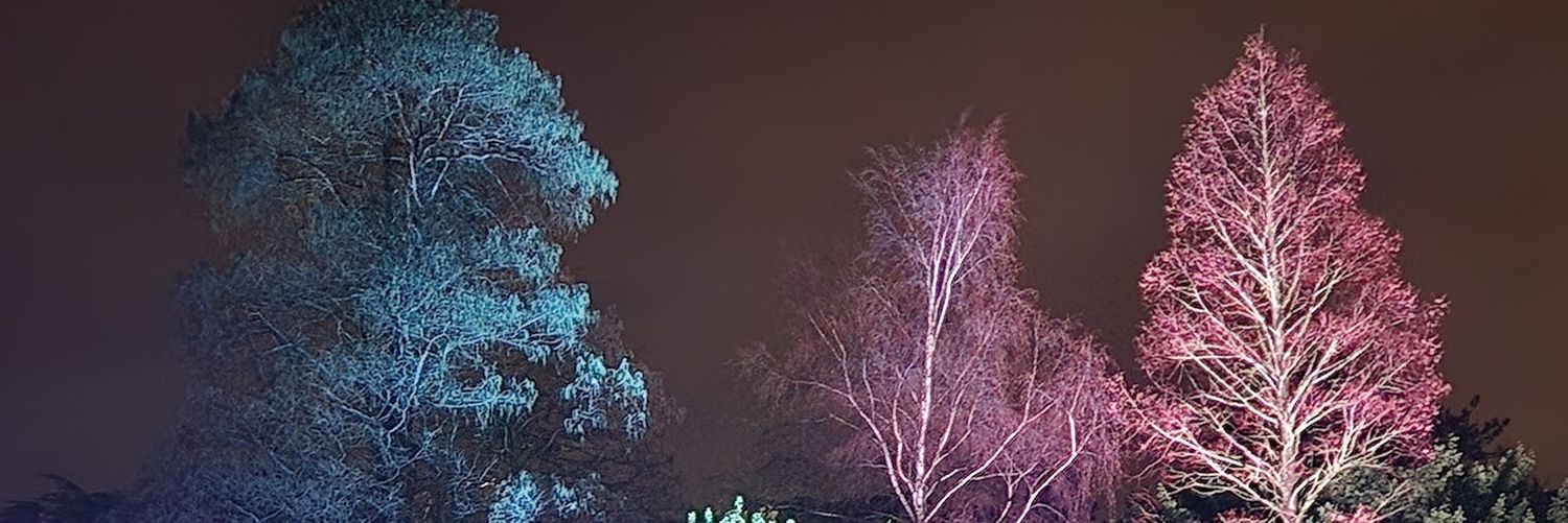 anindafe's profile banner image