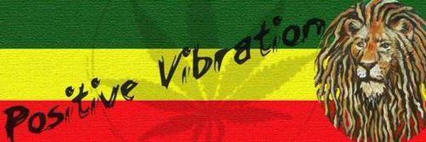 madisimmons Profile Banner