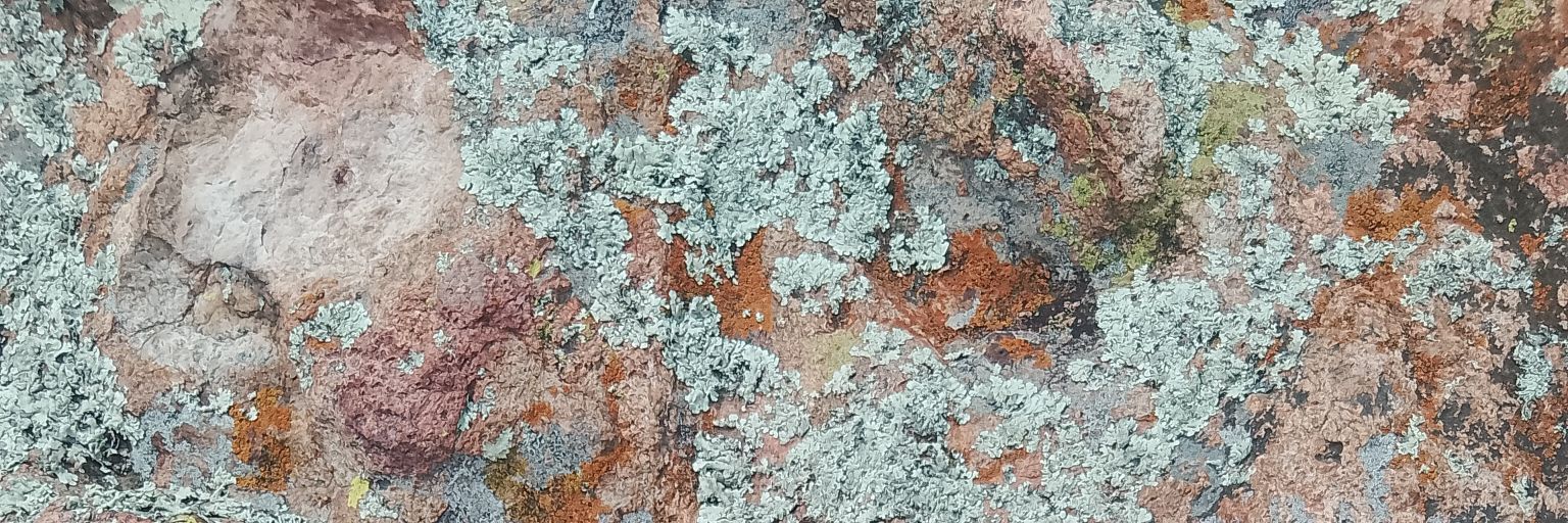 romeoisadeadman banner