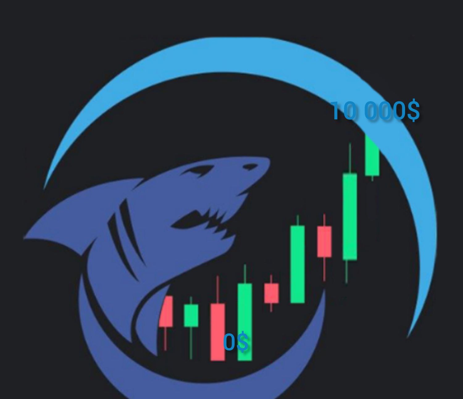 crypto_shark4's profile banner image