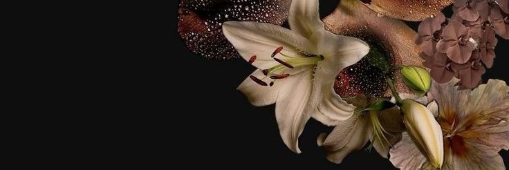 _andy080's profile banner image