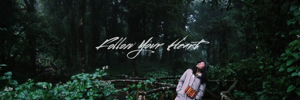 BamNg's profile banner image