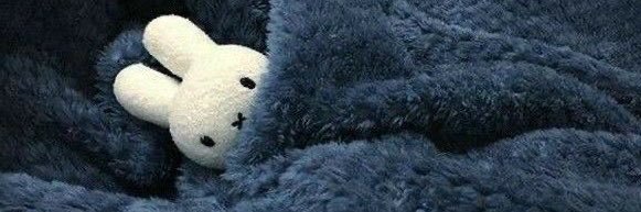 libetsdelay_'s profile banner image