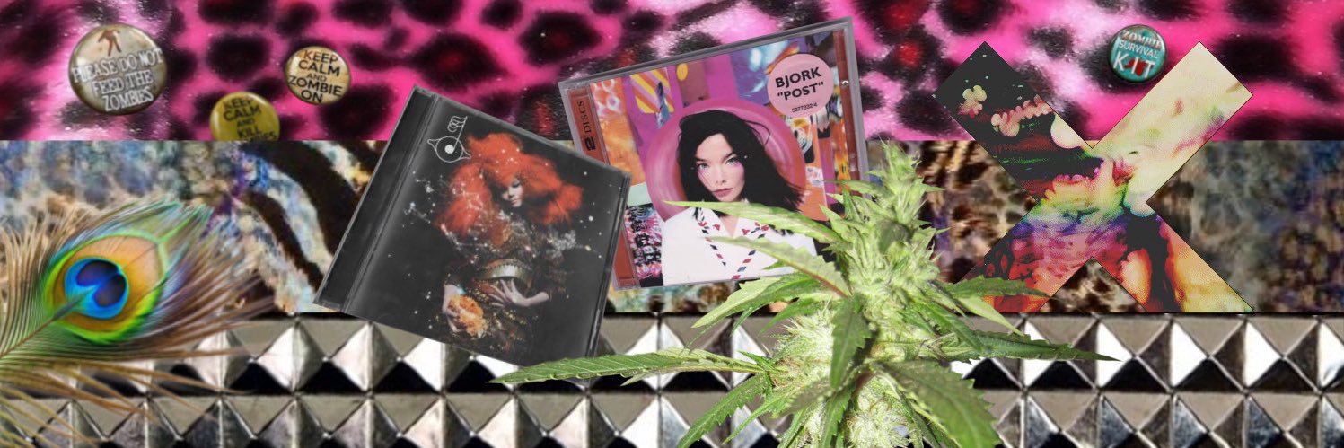 xX_W☯️lfgang🪬╋━'s banner