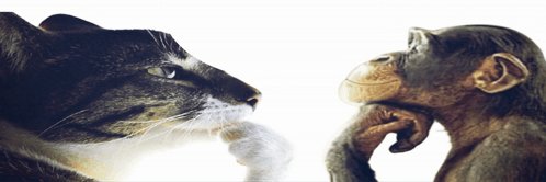 thinkMFovr's profile banner image