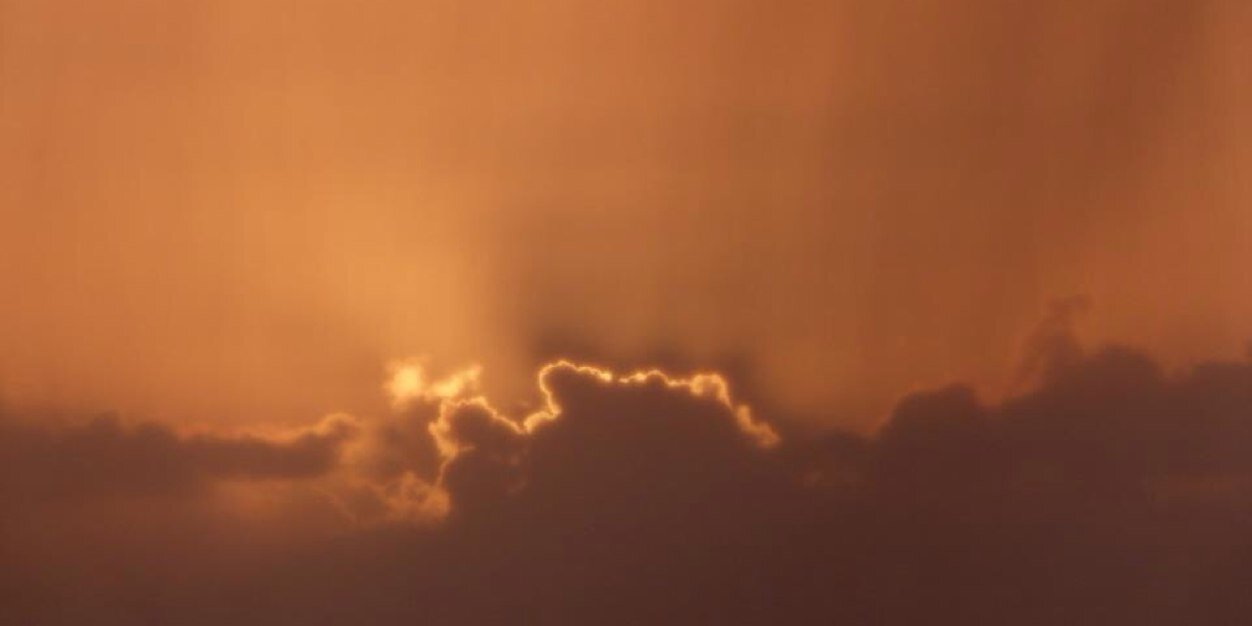 Davethedogsdad's profile banner image