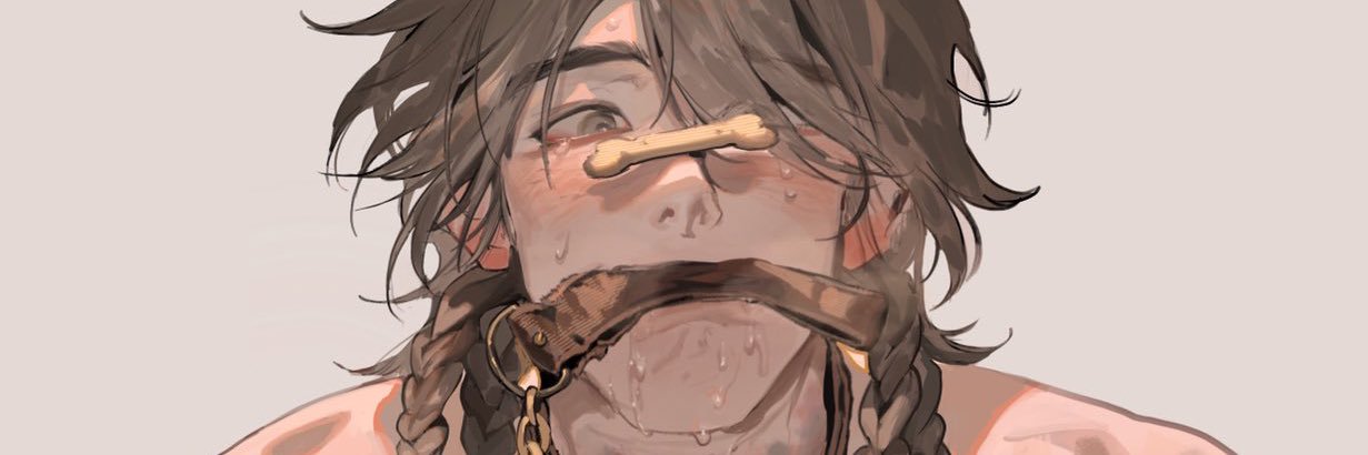 Zeikeaide's profile banner image
