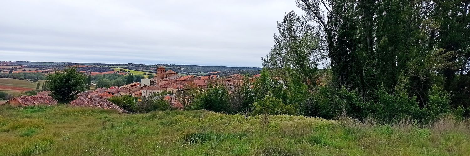 davidberzosa's profile banner image