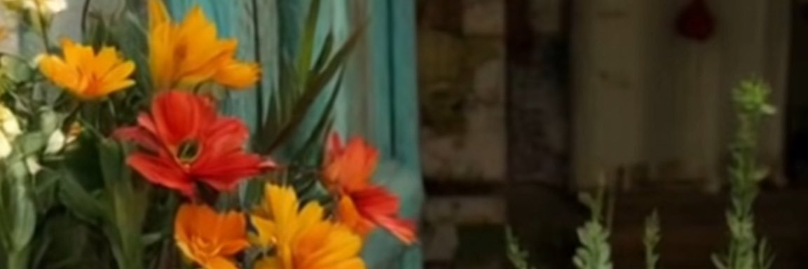 TBSMM2013's profile banner image