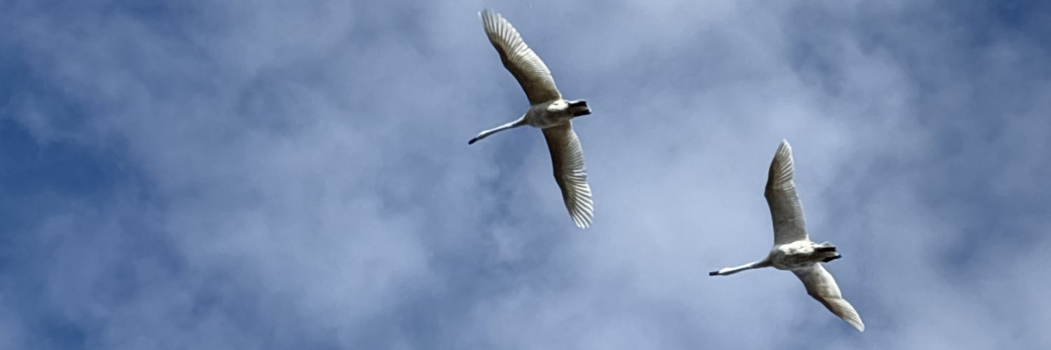 RunCampWI's profile banner image