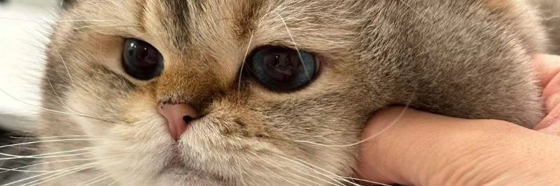 panahh5665's profile banner image