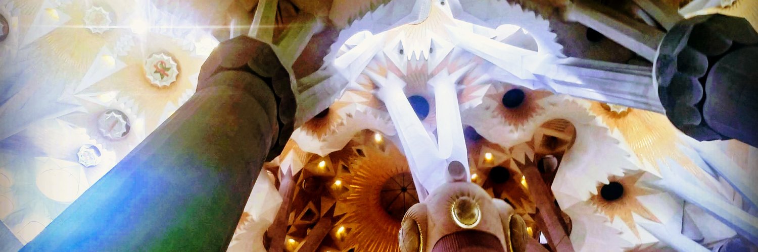 PiekenPuil's profile banner image