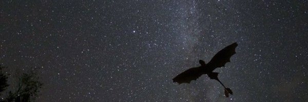 tugberk37 Profile Banner