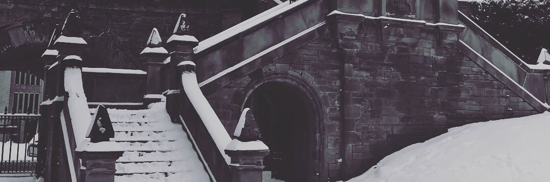 vecanoi's profile banner image