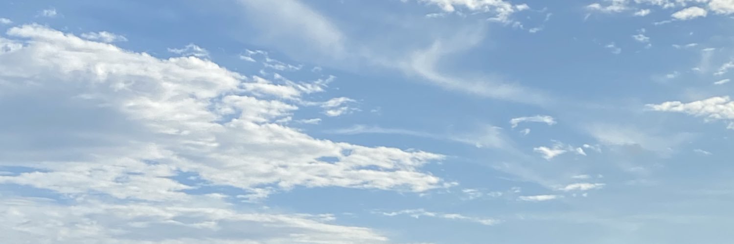 sagopii's profile banner image