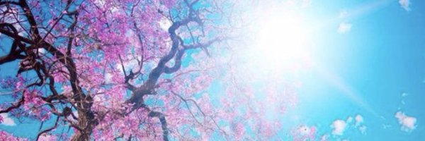 kellyanneDYW Profile Banner