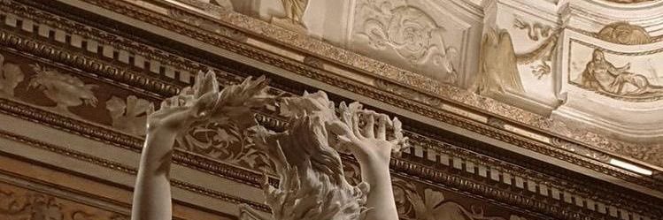 ‍ ‍ ‍ ‍ 𝐙𝐀𝐍𝐍 . banner