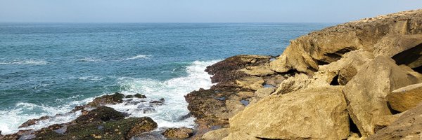 palaeocdf Profile Banner