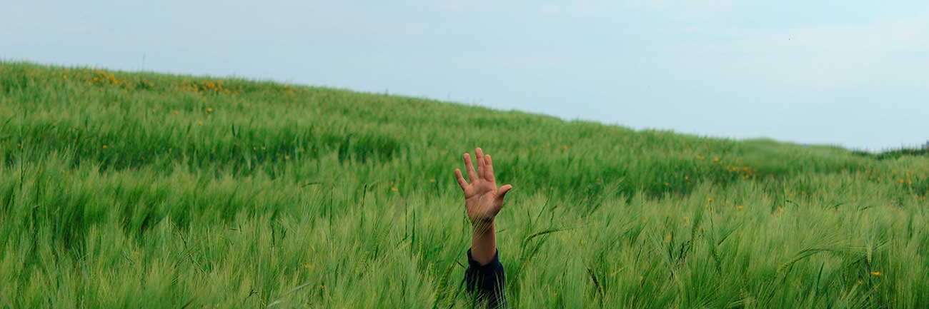 Centre for Studies on Planetary Wellbeing banner