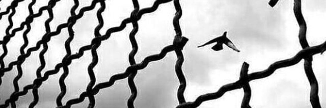 : banner