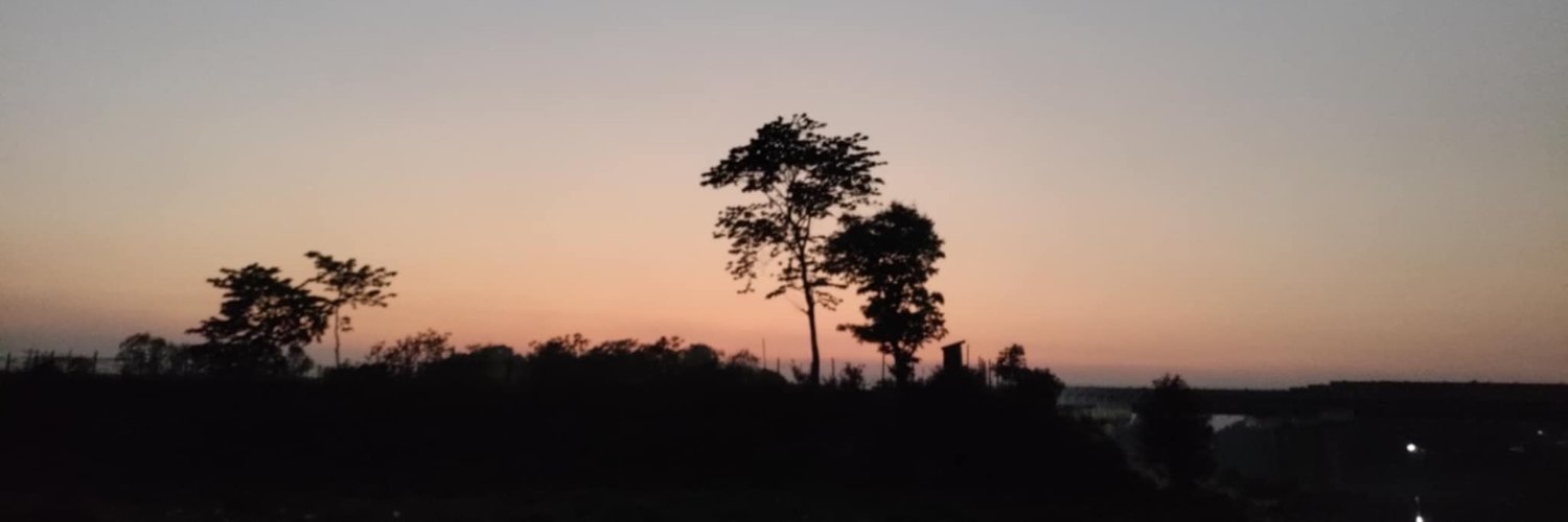 bok80592's profile banner image