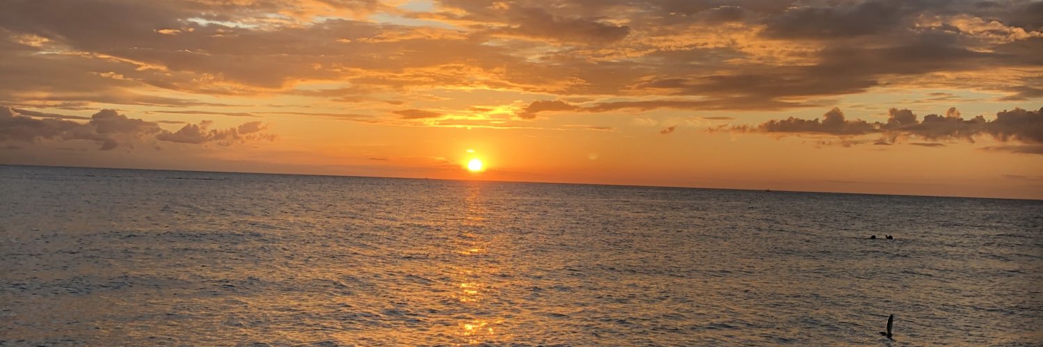 DMCirillo's profile banner image