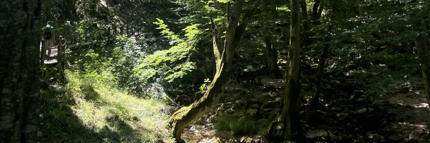 pelinssener's profile banner image