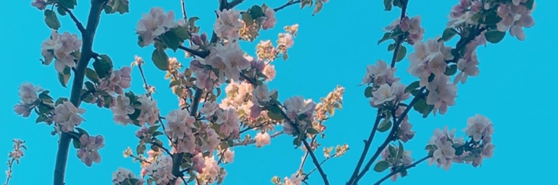 victoriappn's profile banner image