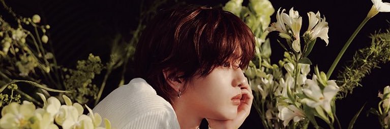 rom_mini__'s profile banner image