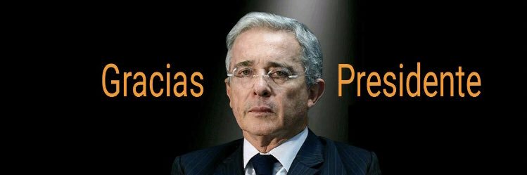luisafernandadi's profile banner image