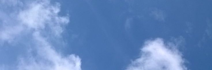scygll_'s profile banner image