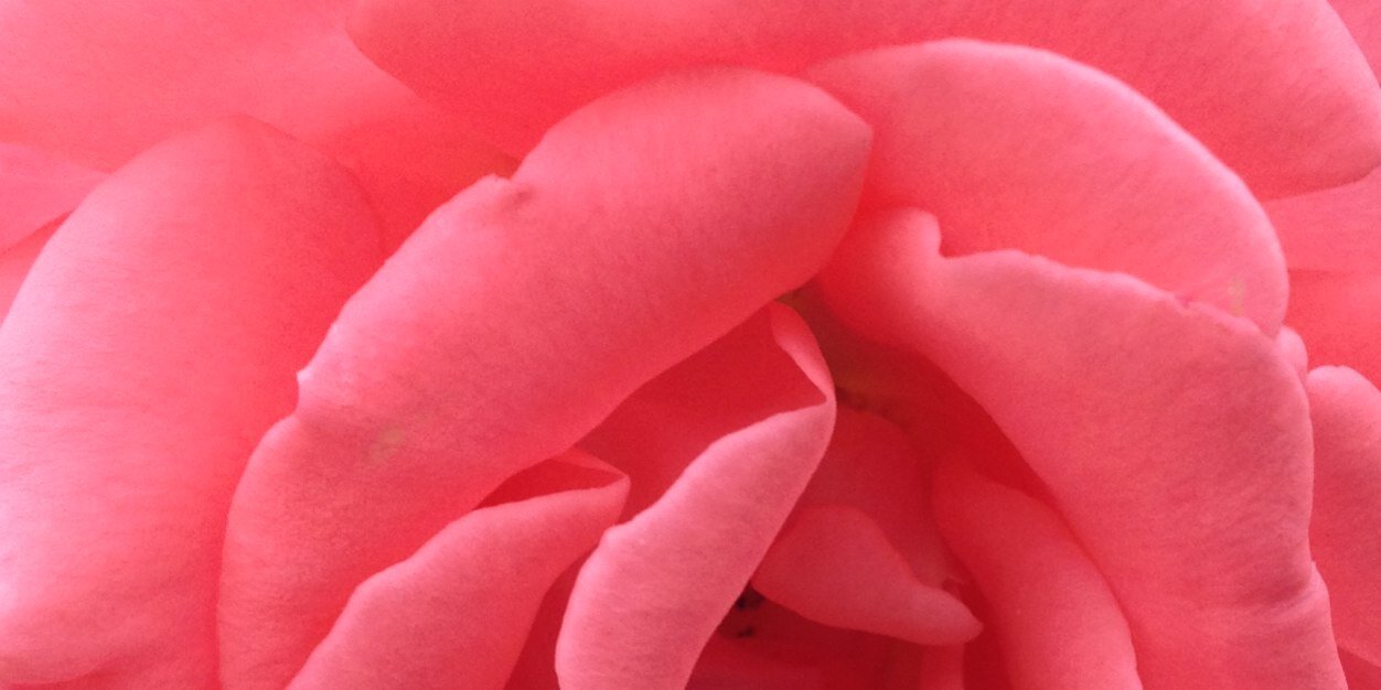 YourModernGirl's profile banner image