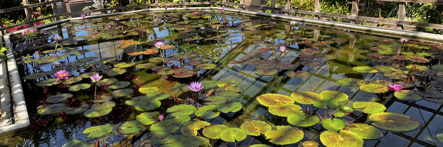 オウル・ライアー banner