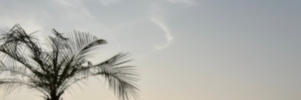runerasmn's profile banner image